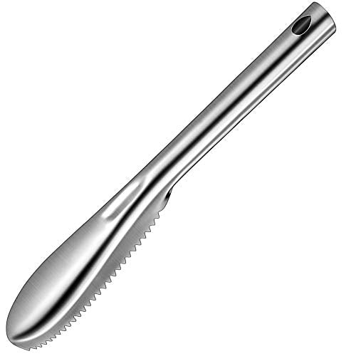 FISH SCALER STAINLESS STEEL - 235MM