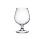 SNIFTER 530ML H149MM W99MM (24 UNITS)